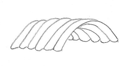 File:FoamDome.png