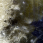 Thumbnail for version as of 05:08, 23 June 2008
