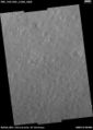 Arcadia Planitia Texture.jpg
